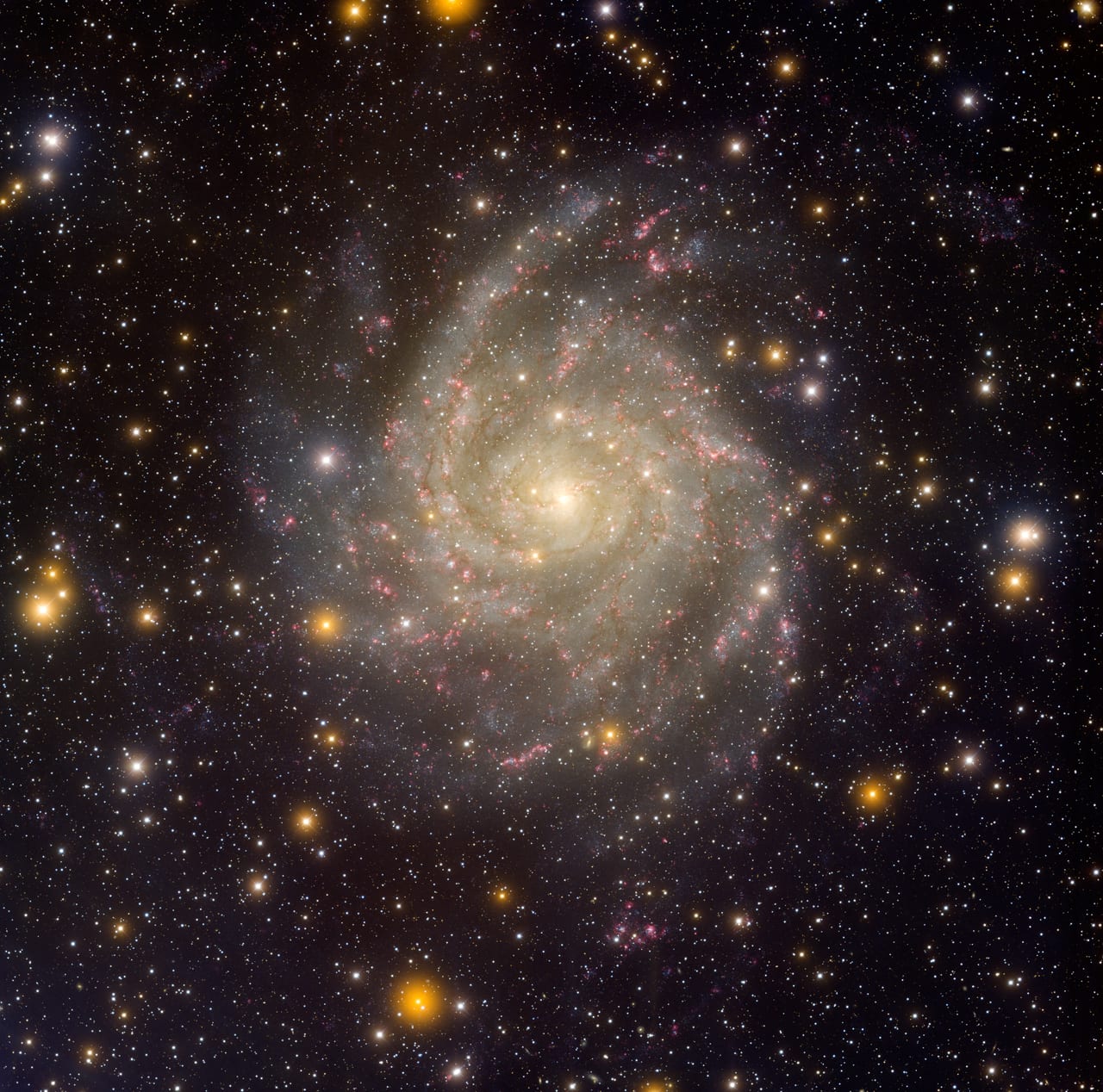 Hidden Galaxy