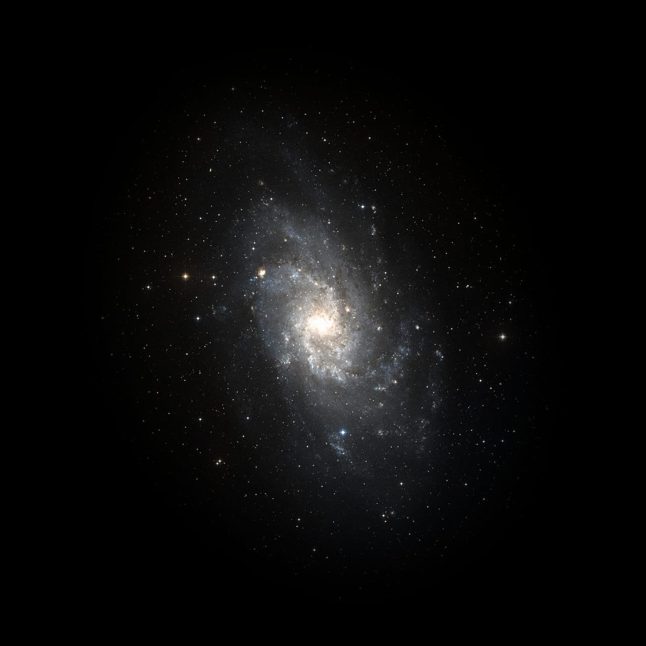 Galaxie du Triangle